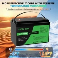 datouboss-12v-100ah-lifepo4-battery-with-100a-bms-12v15a-24v8a-smart-battery-charger-eu-standard-for-rv-solar-home-system-8643416.jpg.avif